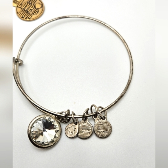 ๐๏ธ FREE ADD ON ALEX & ANI Bracelet Choice - Picture 7 of 7